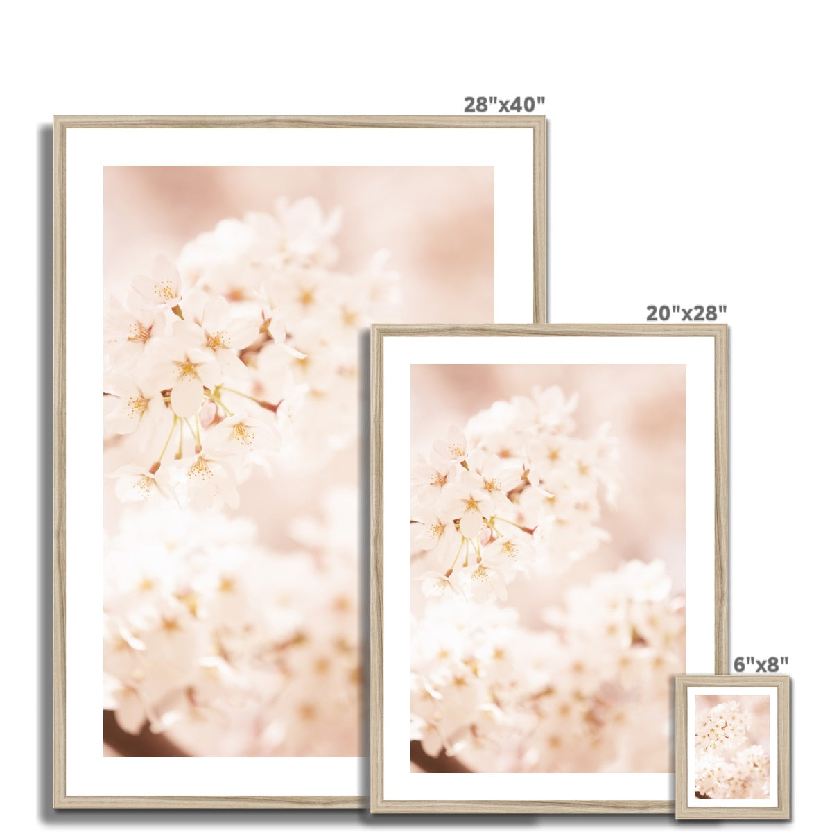 White cherry blossom Framed Print - Boutique de l´Art