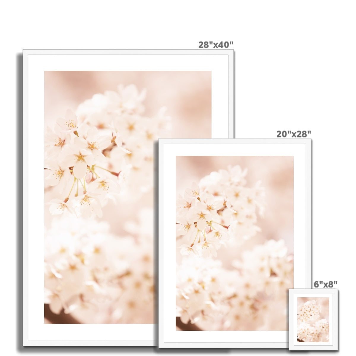 White cherry blossom Framed Print - Boutique de l´Art