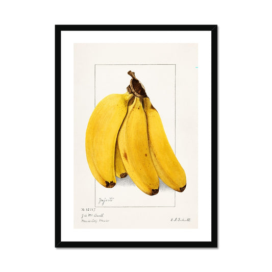 Schutt - Bananas Framed Print - Boutique de l´Art