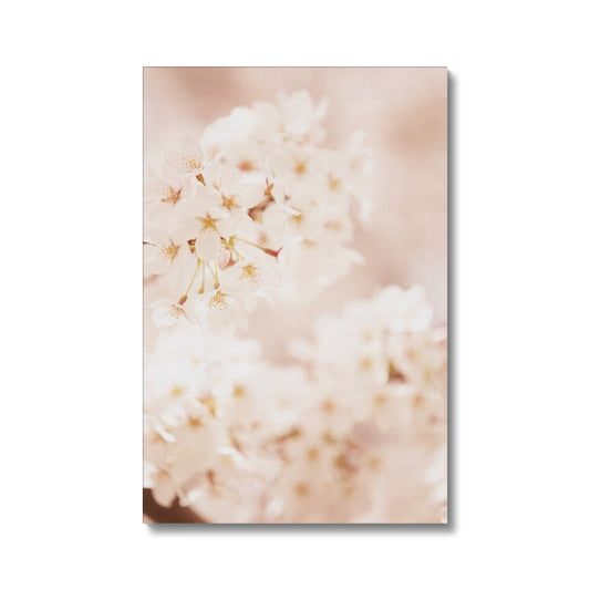 White cherry blossom Eco Canvas - Boutique de l´Art