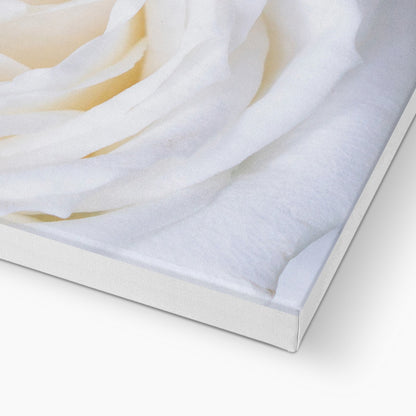 White rose Eco Canvas - Boutique de l´Art