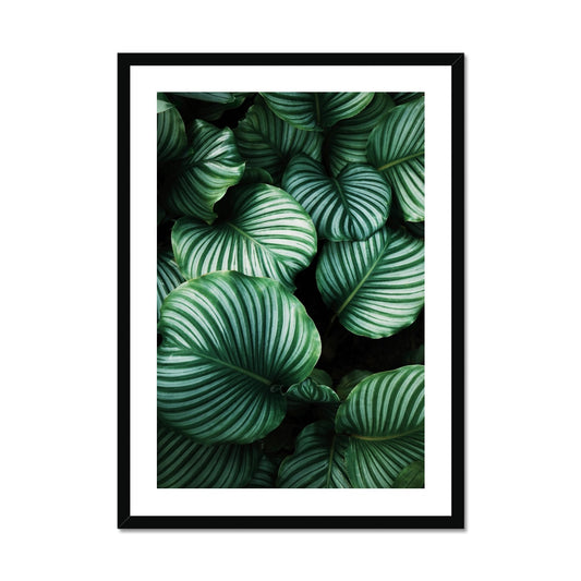 Tropical leaves Framed Print - Boutique de l´Art