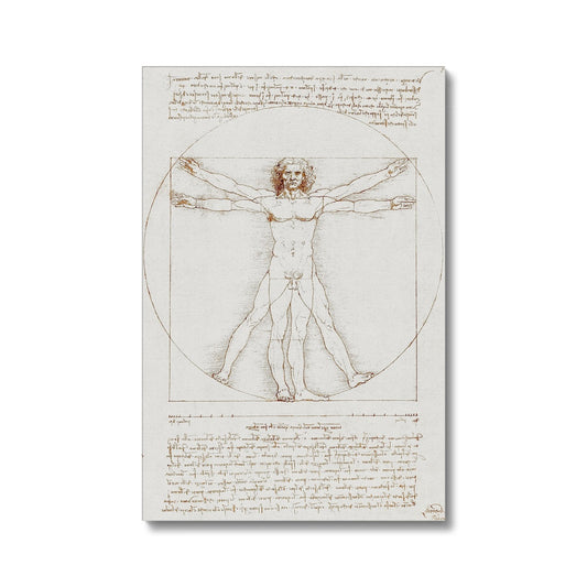Leonardo da Vinci - Vitruvianischer Mensch Leinwandbild Eco - Boutique de l´Art