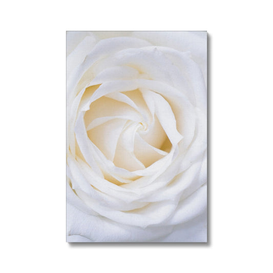 White rose Eco Canvas - Boutique de l´Art
