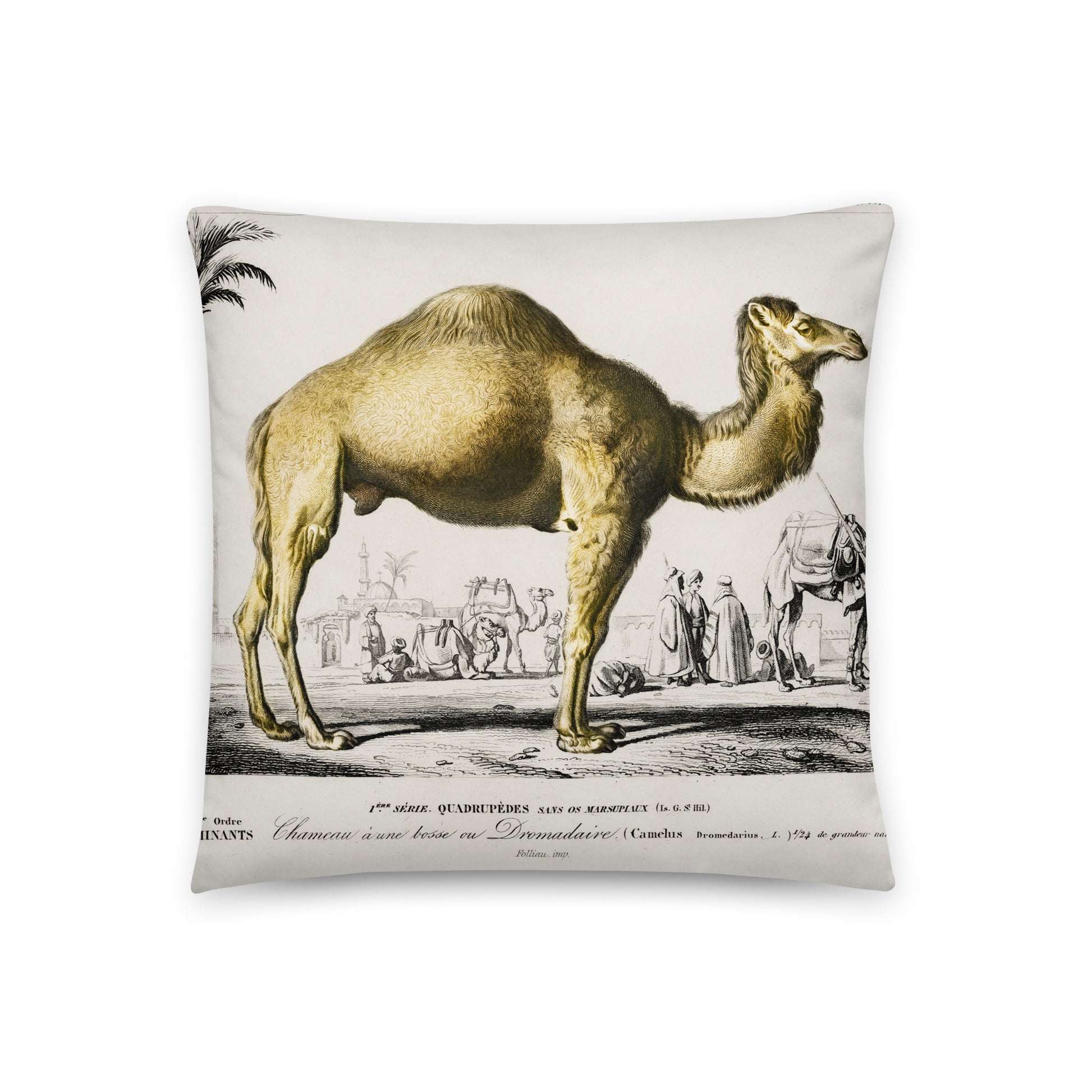D´Orbigny - Camel Kissen - Boutique de l´Art