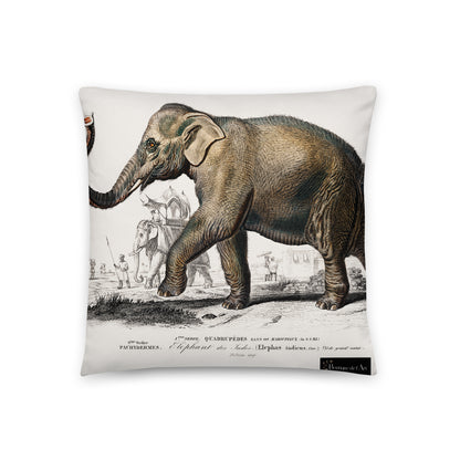 D' Orbigny - Asiatic elephant Kissen - Boutique de l´Art