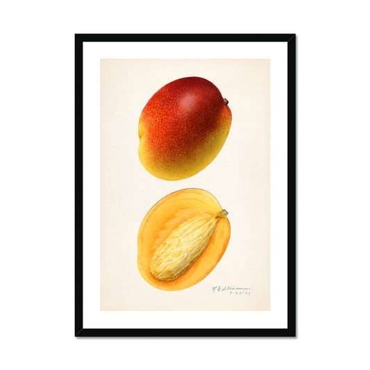 Steadman- Mangoes Framed Print - Boutique de l´Art