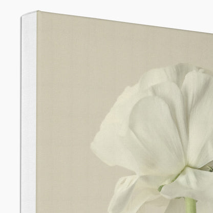 White Ranunculus N°3 Eco Canvas - Boutique de l´Art