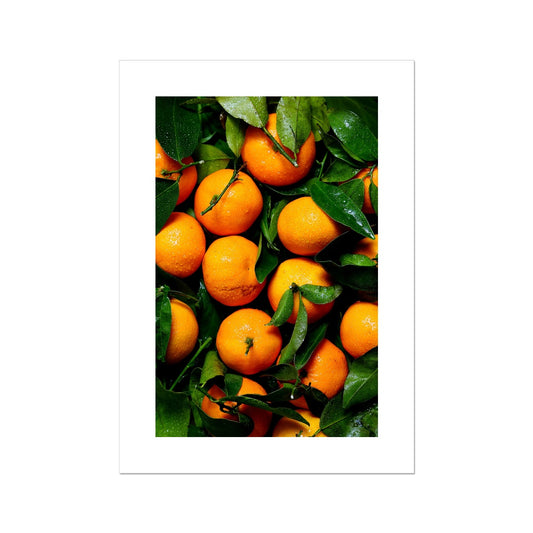 Fresh Oranges Poster - Atopurinto