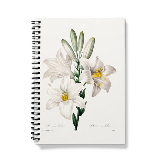 Redouté - White Lily Notizbuch - Atopurinto
