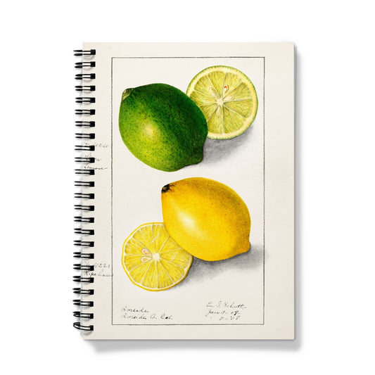 Newton - Lemons Notizbuch - Atopurinto