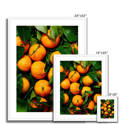 Fresh Oranges gerahmtes Poster - Atopurinto