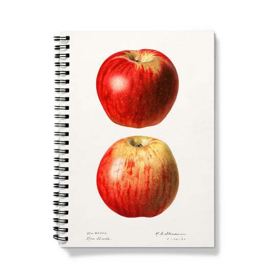 Steadman - Apples Notizbuch - Atopurinto