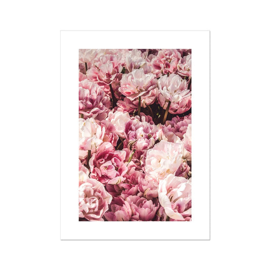 Pink peonies Poster - Atopurinto