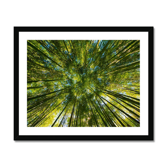 Forest Trees gerahmtes Poster - Atopurinto