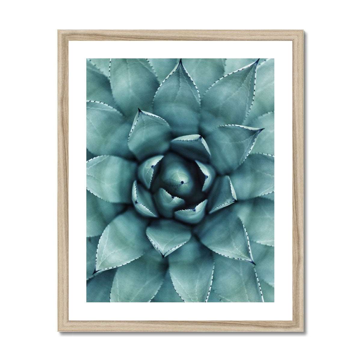 Agave Poster mit Rahmen in Naturfarbe Holz