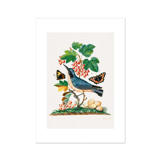 Bolton - Bird, berries and butterflies Poster - Atopurinto