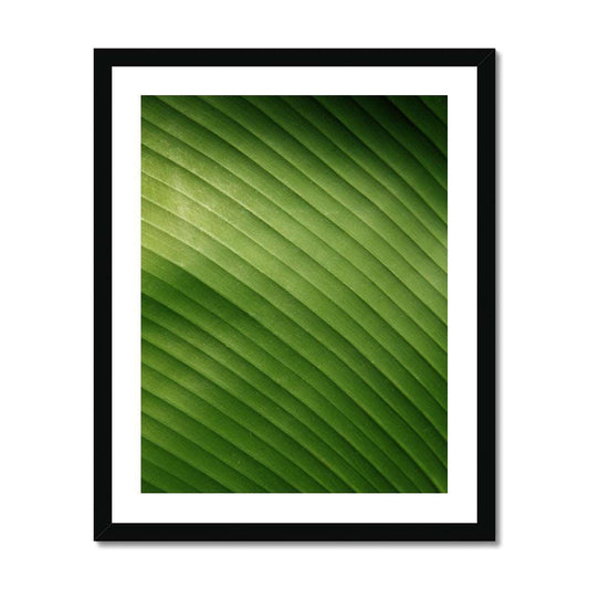 Banana Leaf gerahmtes Poster - Atopurinto