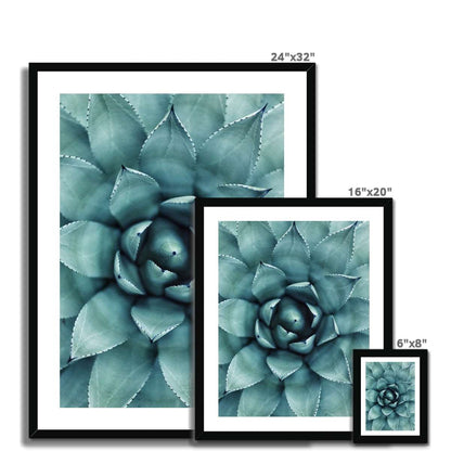 Agave gerahmtes Poster - Atopurinto