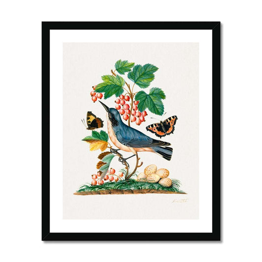 Bolton - Bird, berries and butterflies gerahmtes Poster - Atopurinto