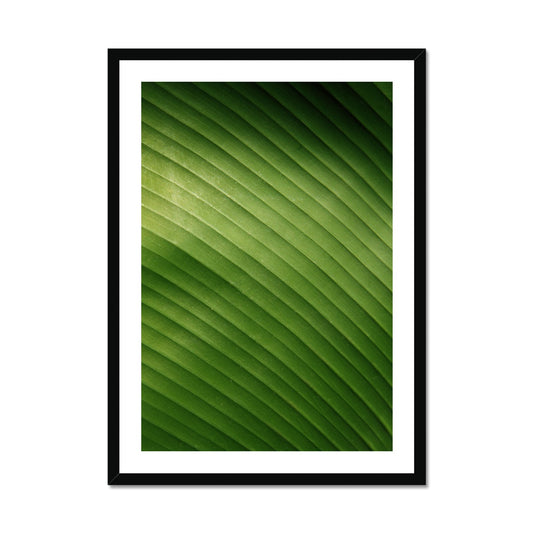 Banana leaf Framed Print - Boutique de l´Art