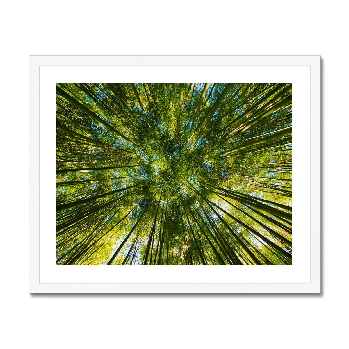 Forest Trees gerahmtes Poster - Atopurinto