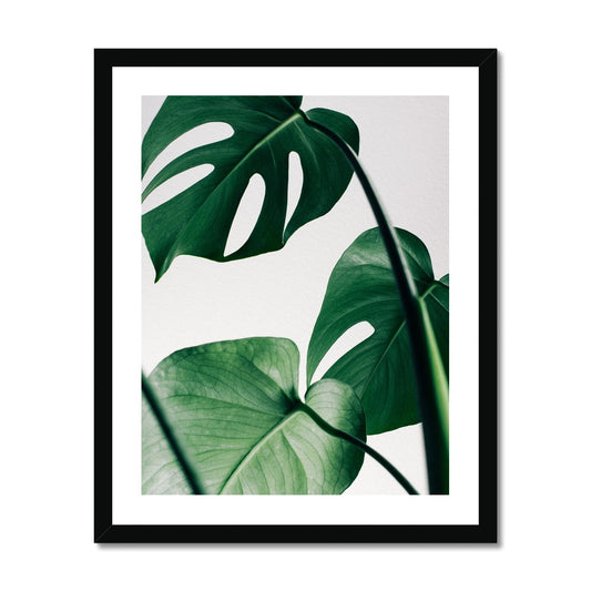 Monstera Leaves gerahmtes Poster - Atopurinto