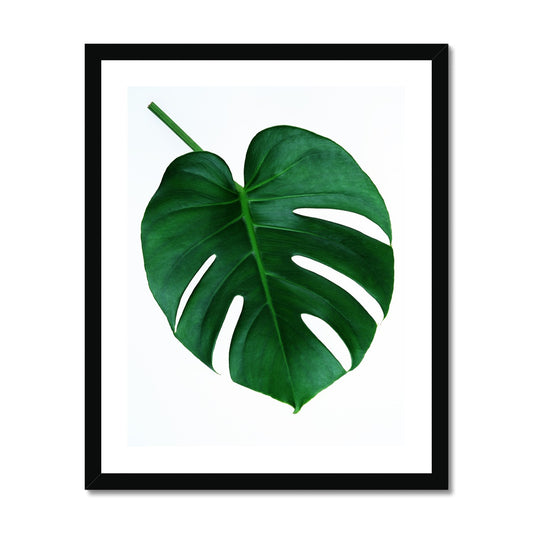 Monstera Leaf gerahmtes Poster - Atopurinto