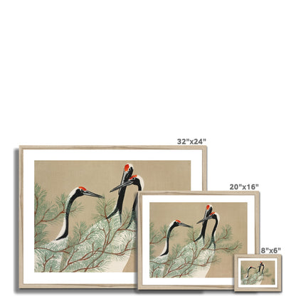Momoyogusa - Cranes gerahmtes Poster - Atopurinto