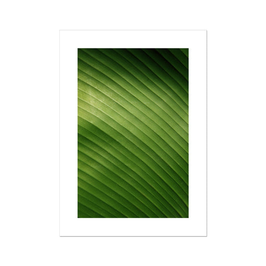 Banana Leaf Poster - Atopurinto