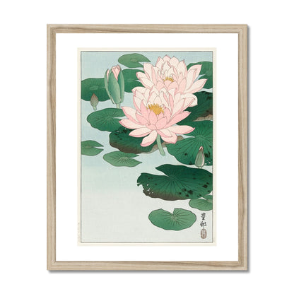 Koson - Water Lily gerahmtes Poster - Atopurinto